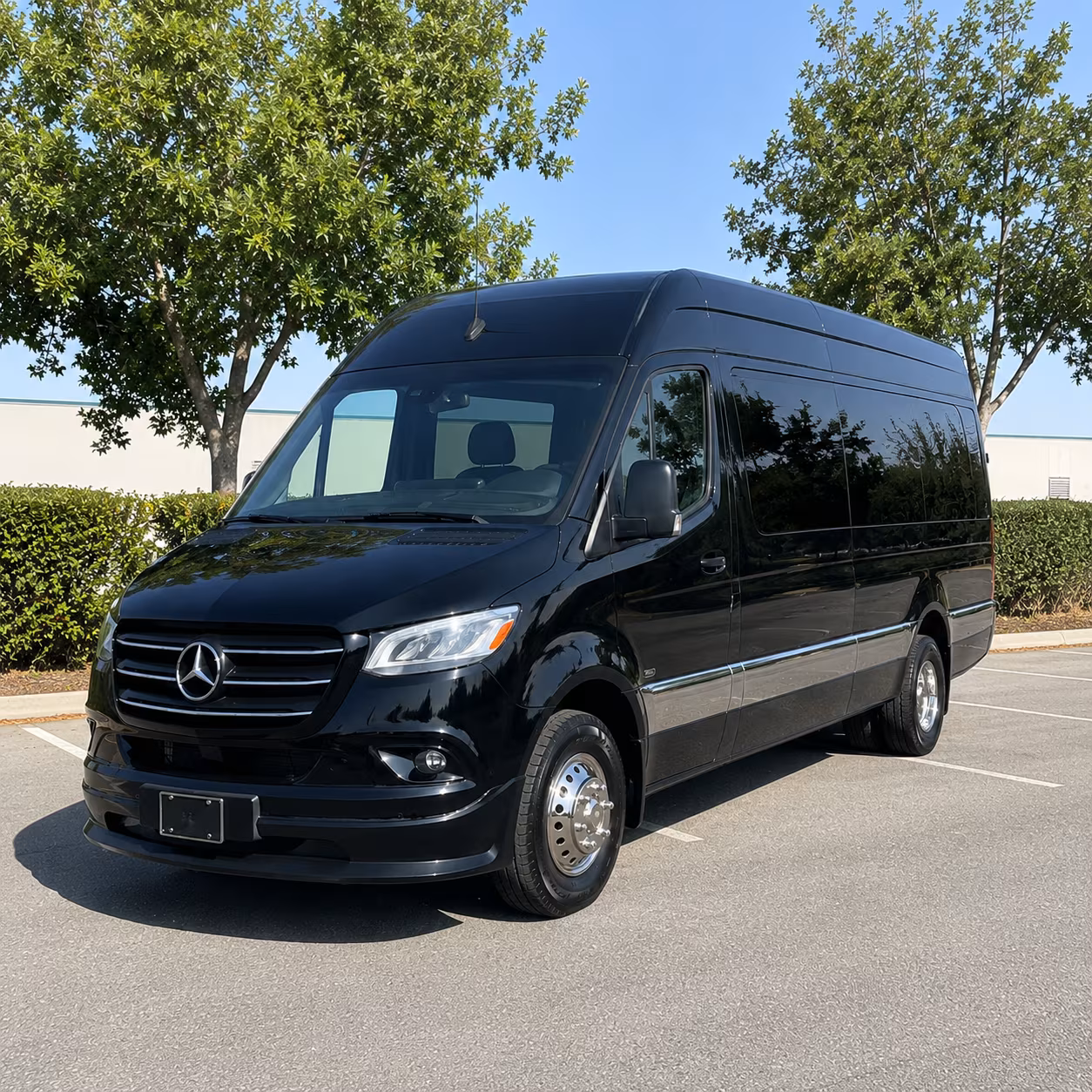 mesquite long distance transportation onboard seating