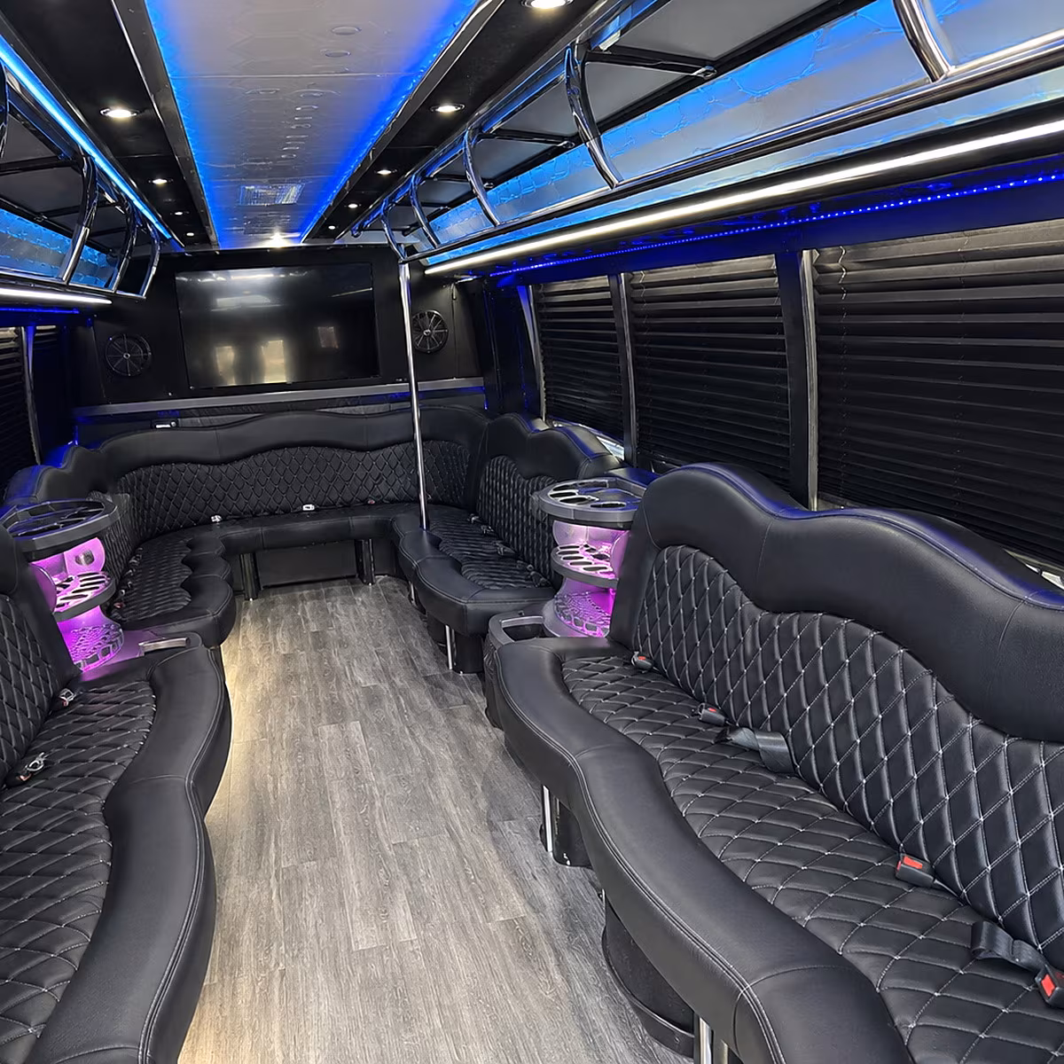 mesquite party bus interior